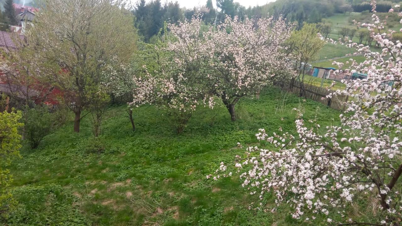 Pokoje U Adama Grajoka Szczawnica Eksteriør bilde
